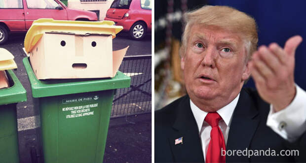 Коробка в мусорном баке и Дональд Трамп парейдолия, персонаж, предмет, схожесть, фото, юмор, явление