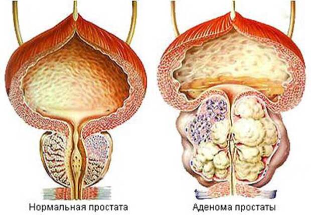 http://fmclinic.ru/upload/medialibrary/d9f/d9f8b4298a32f6e8810f183219ada97e.jpg