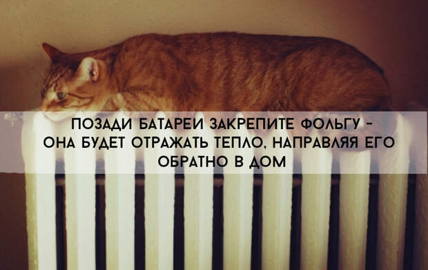 1414161703-5431 copy