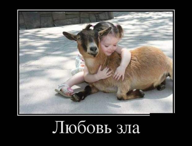 Демотиваторы (30 фото)