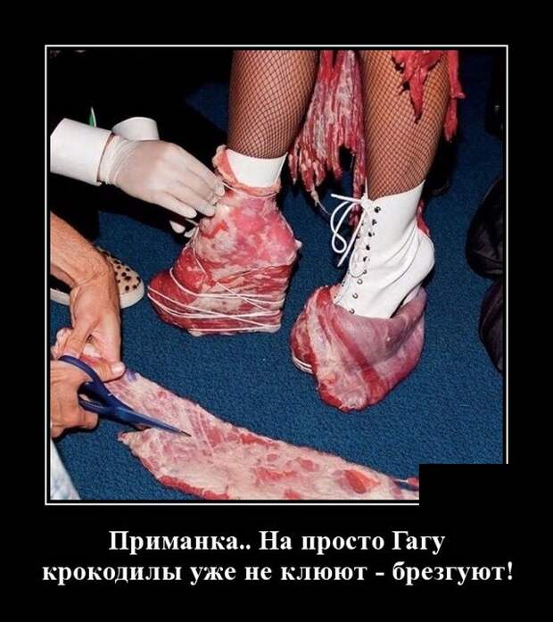 Демотиваторы (30 фото)