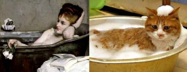 Стирка котэ - дело хлопотное!..