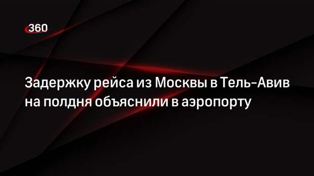 Представители Домодедово: рейс в Тель-Авив задержали на 12 часов по техпричине