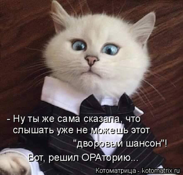 kotomatritsa_p (440x419, 99Kb)