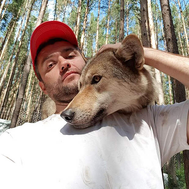 Этот русский бизнесмен стал вожаком волчьей стаи