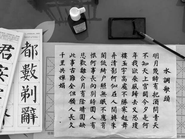 Для пенсионеров из Бегового открылась группа изучения китайского языка с нуля