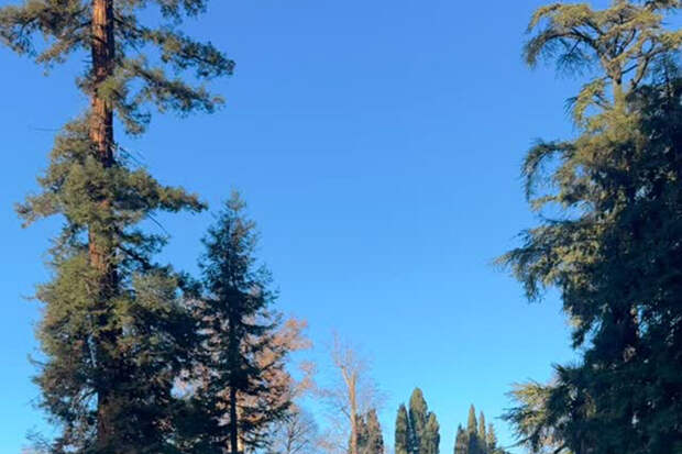 Бывшая жена актера Андрея Мерзликина улетела из России