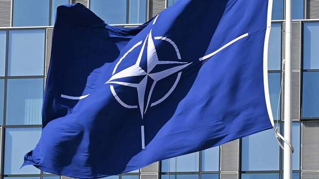 Протестующие в Париже разорвали флаг НАТО на демонстрации