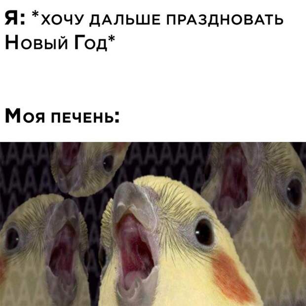 Смешные картинки 4 января 2022 года