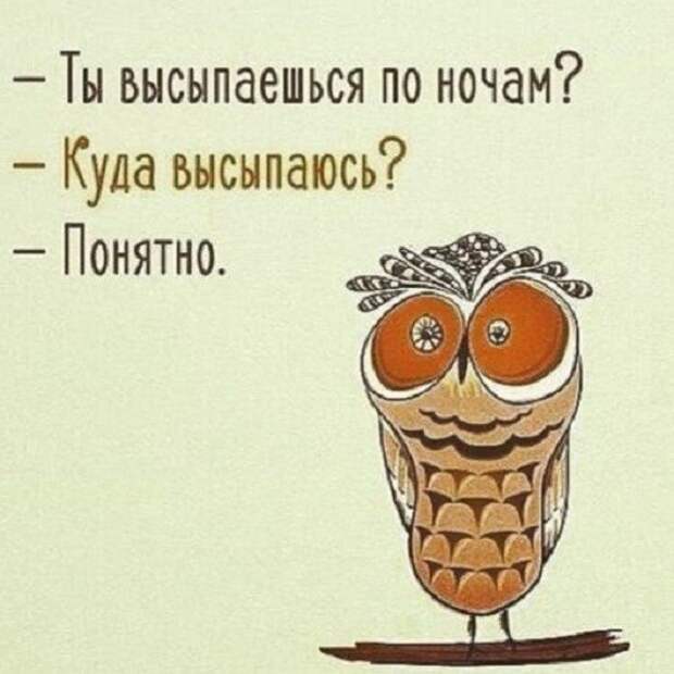 смешные картинки (2)
