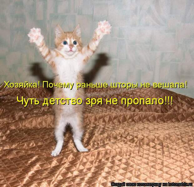 Котоматрица - Хозяйка! Почему раньше шторы не вешала! Чуть детство зря не пропало!!!