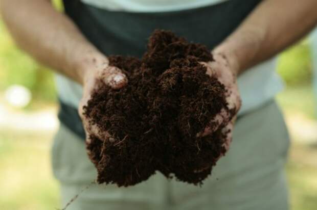 Субстрат из кокосового волокна так же поможет улучшить структуру почвы