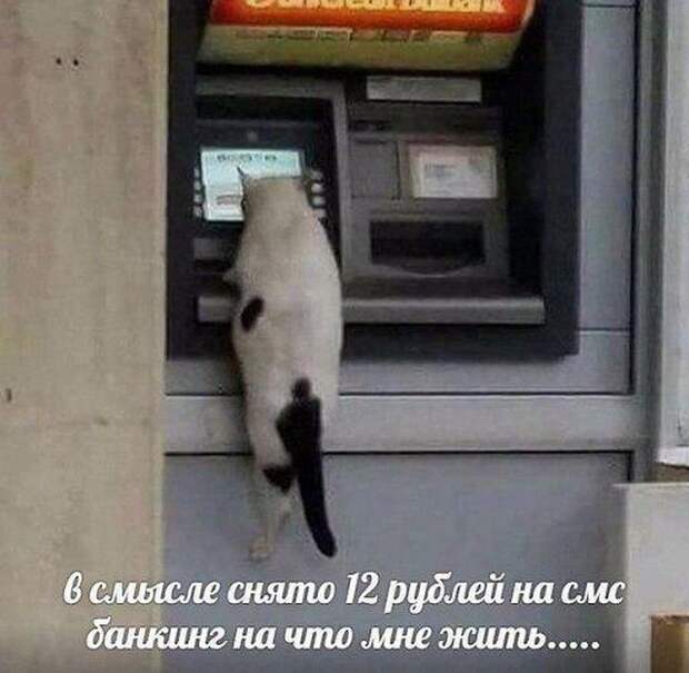 www.vsyako.net