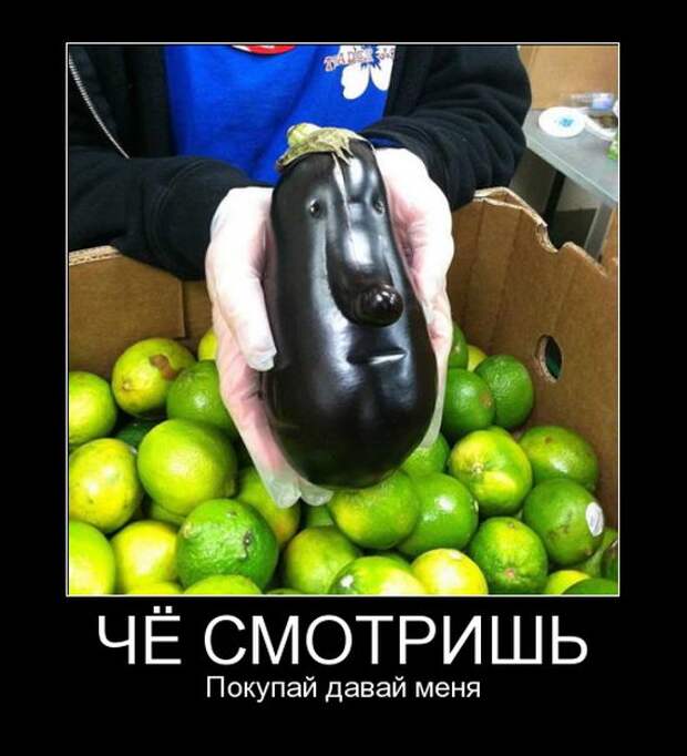 Демотиваторы (30 фото)