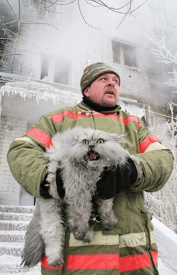 Русский пожарный спасает кота