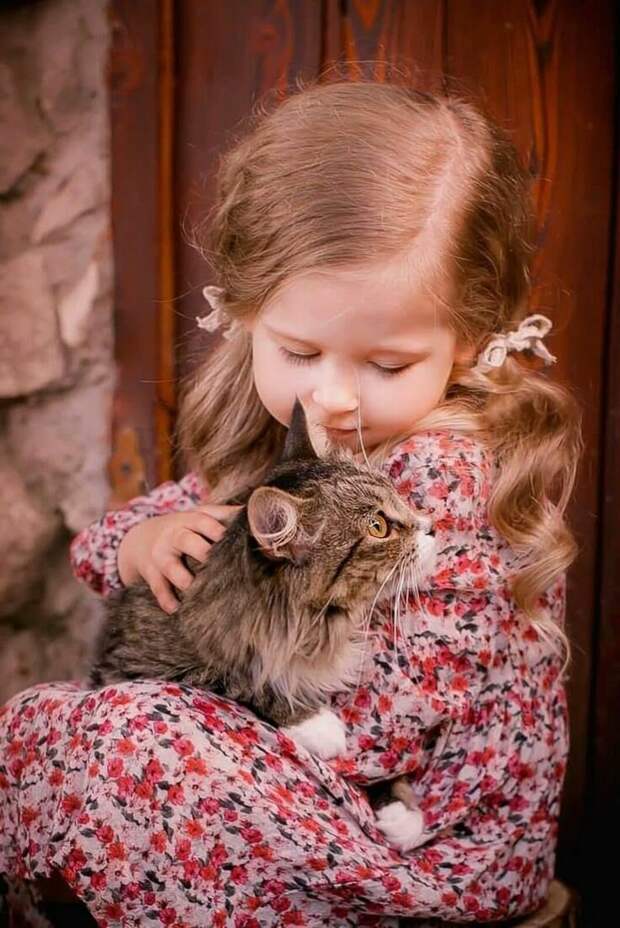 Детки и коты