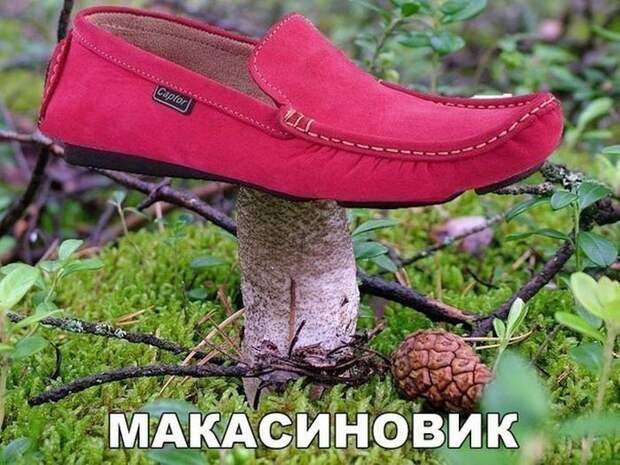 Фото приколы (78 фото)