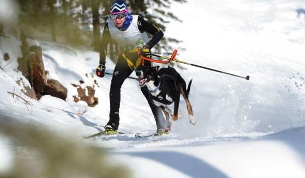 Попробовать свои силы в биатлоне и увидеть «Зарисовки забытой Москвы». Как провести выходные 17-18 января в Москве?