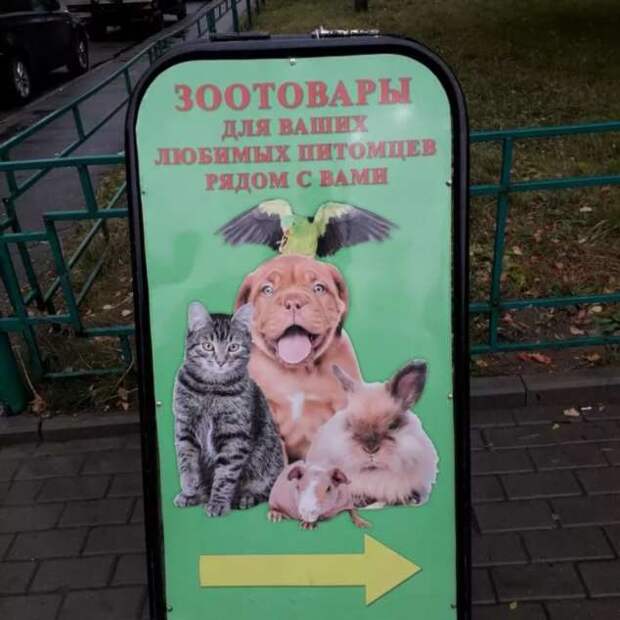 Прикольные вывески. Подборка chert-poberi-vv-chert-poberi-vv-32560217102020-7 картинка chert-poberi-vv-32560217102020-7