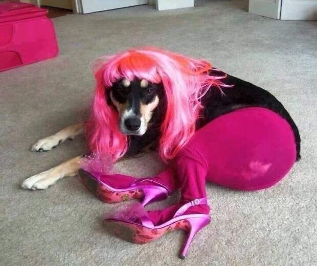 This Is What Happens When You Leave Your Kids With The Dog This Is What Happens When You Leave Your Kids With The Dog