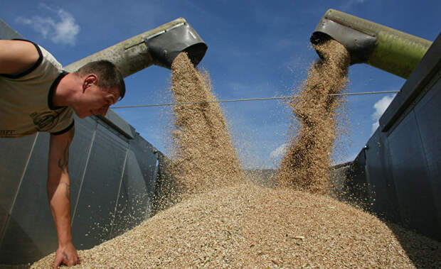 Асахи (Япония): уживутся ли Россия и Украина на экспортных рынках зерна?