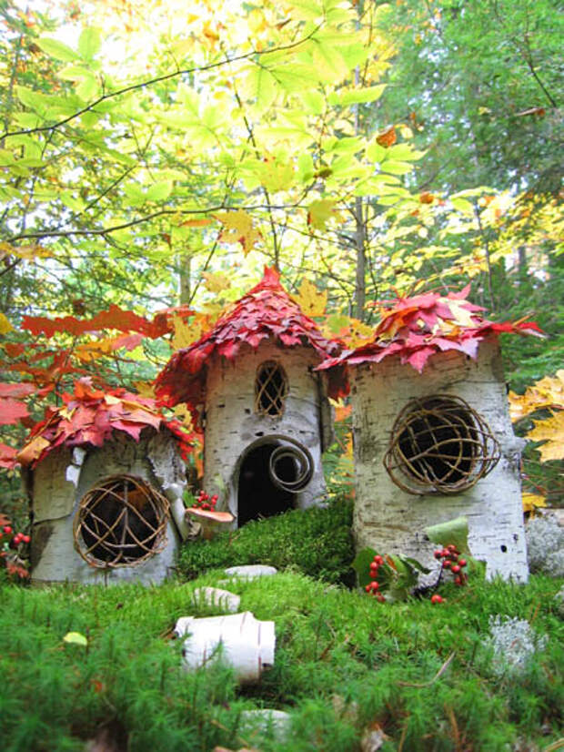 Forest birch trio vert low ang Forest birch trio vert low ang