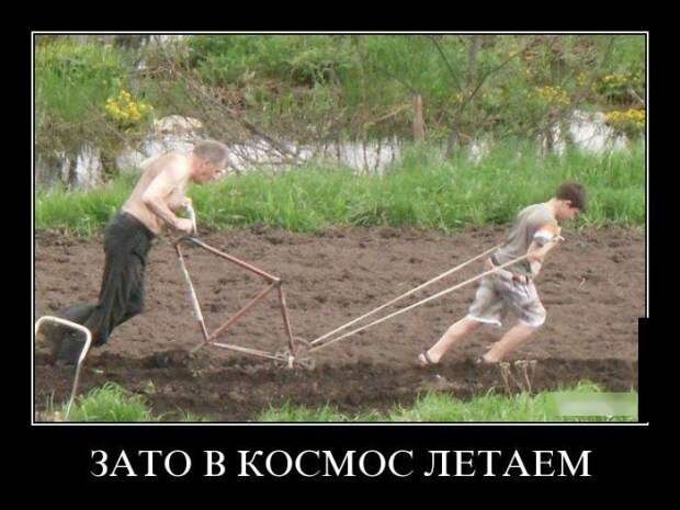Демотиваторы