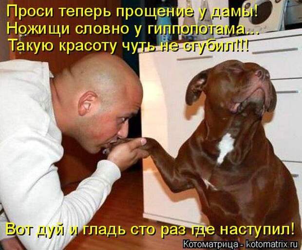 Забавные котоматрицы