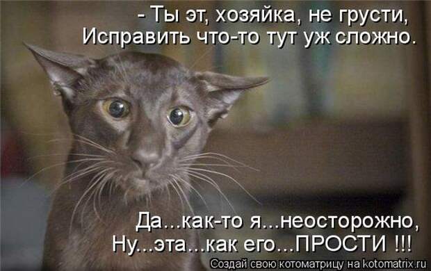 Мысли вслух :)