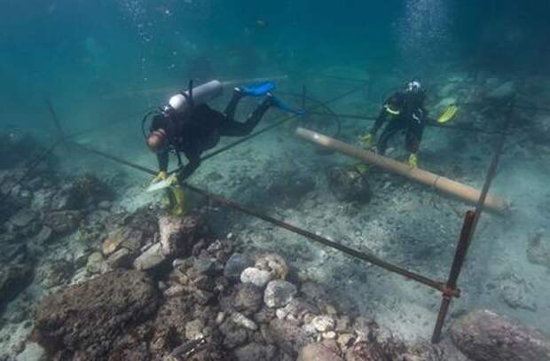 http://khmeread.com/images/14756/medium/dnews-files-2016-03-Vasco-da-Gama-Shipwreck-Found-160315-jpg_%281%29.jpg?1458258568