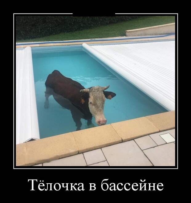 Демотиваторы (30 фото)