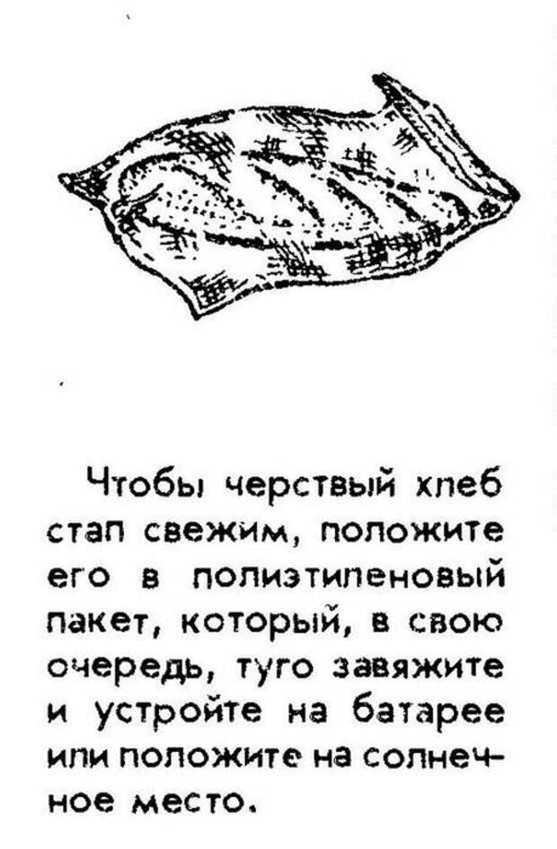 Размягчить хлеб поможет... батарея. /Фото: zagony.ru Размягчить хлеб поможет... батарея. /Фото: zagony.ru