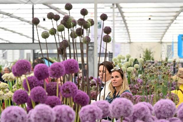 Цветочная выставка садов и цветов Chelsea Flower Show 2021
