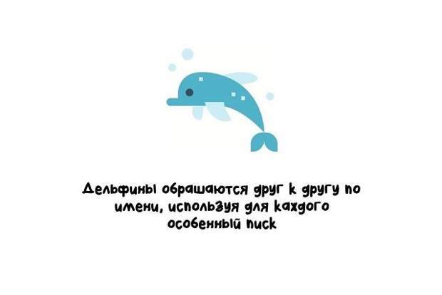 Короткие и интересные факты на все случаи жизни