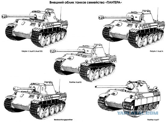 РЫЦАРСКАЯ ДУЭЛЬ