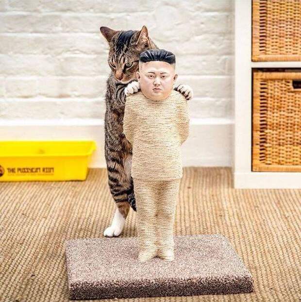 Подборка прикольных картинок