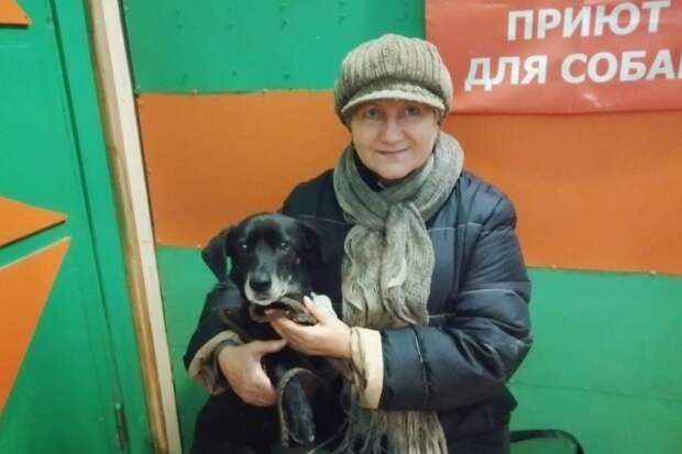 Грустный пес 5 лет сидел в приюте, страдая от одиночества история, маленькая собака, приют, собака