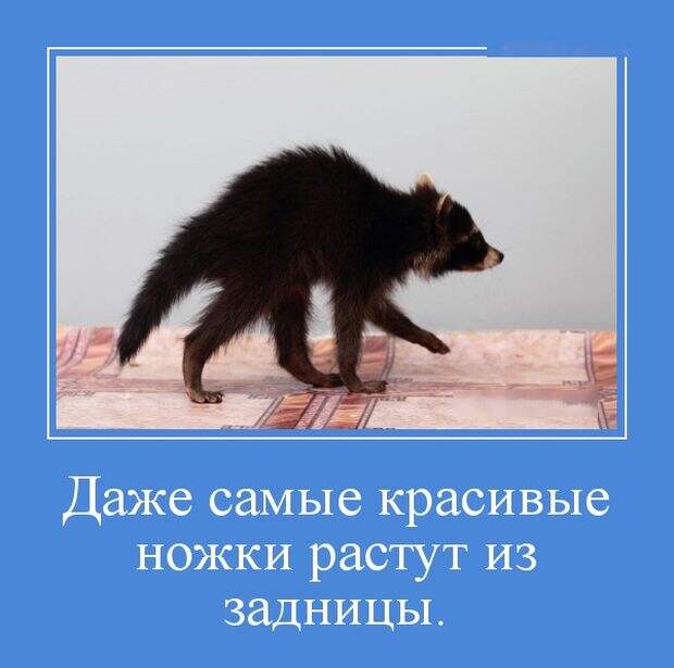 Демотиваторы (30 фото)