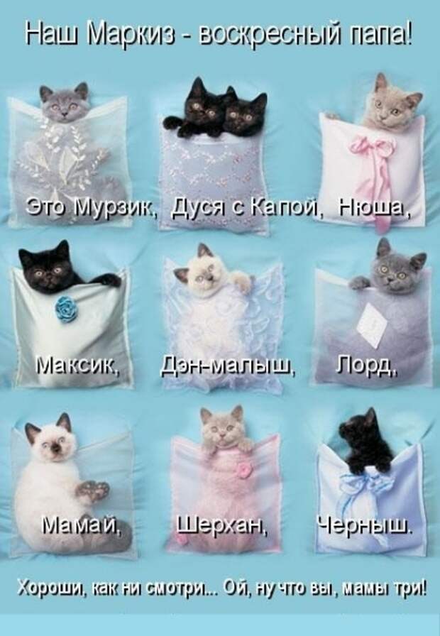 Субботний позитивчик (30 фото)
