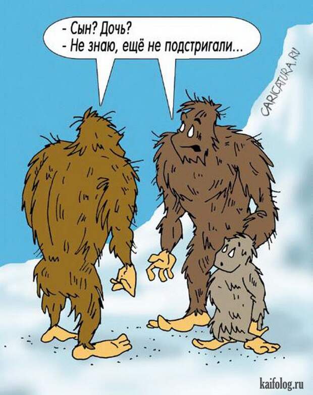 Александр Ермолович (50 карикатур)