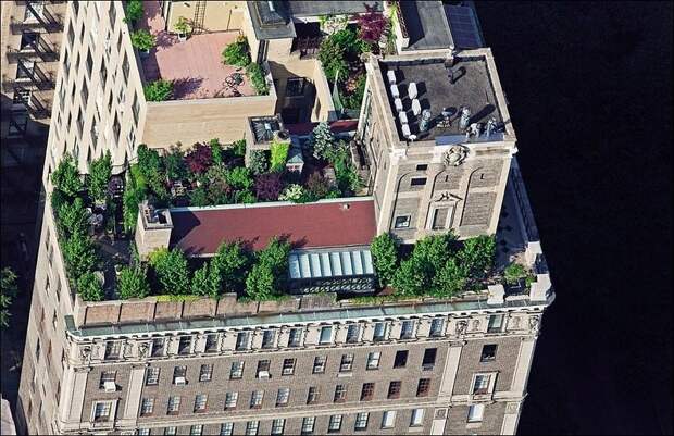 Крыши Нью-Йорка (15 фото)