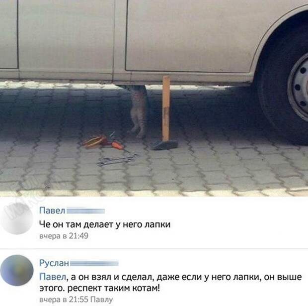 Прикольные картинки 24.08.17