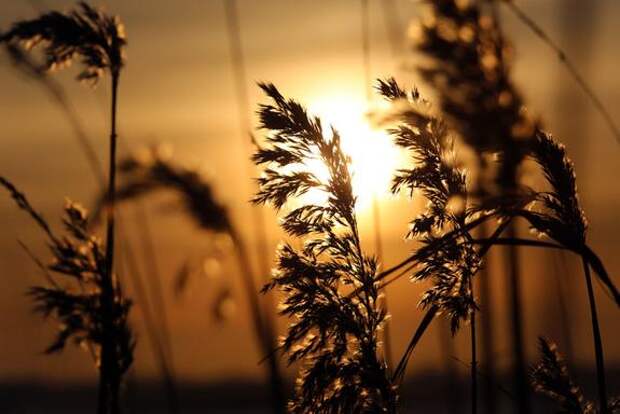 Петербуржцам сообщили об отсутствии магнитных бурь до конца недели