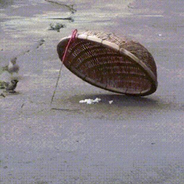 Первый месяц отношений