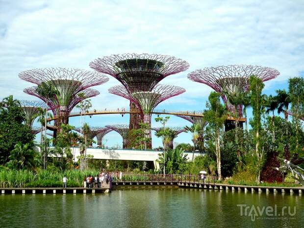 Тропический парк "Сады у залива" (Gardens by the Bay) в Сингапуре / Сингапур