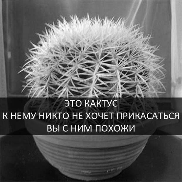 Прикольные картинки Прикольные картинки