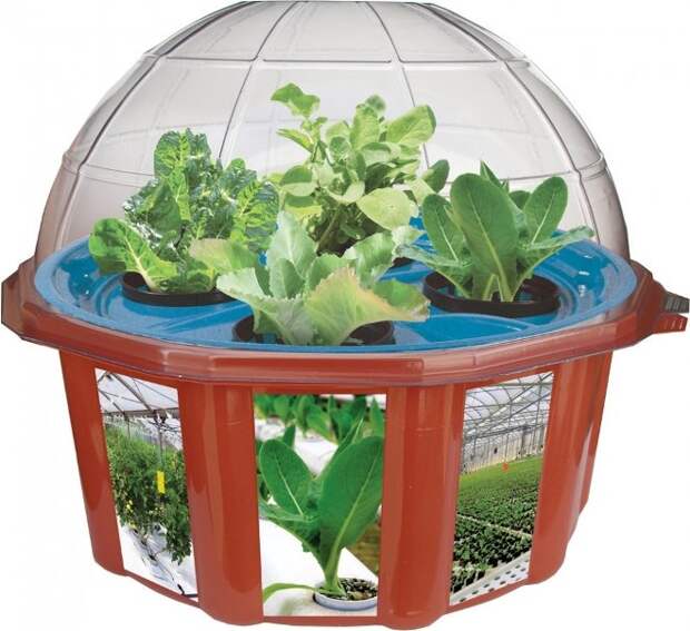 HydroDome DIY Hydroponics Kit