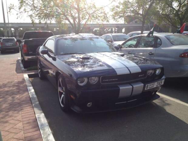 arab_suG