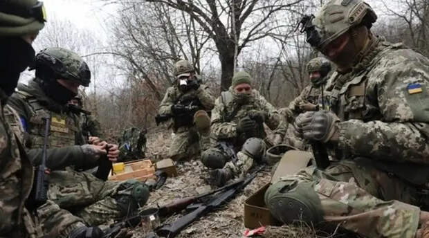 Российский депутат: Иностранные наёмники на Украине уходят на вторую линию обороны, оставляя передовую