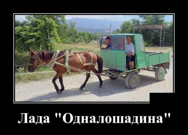 www.vsyako.net